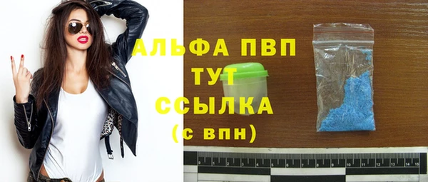 шишки Баксан