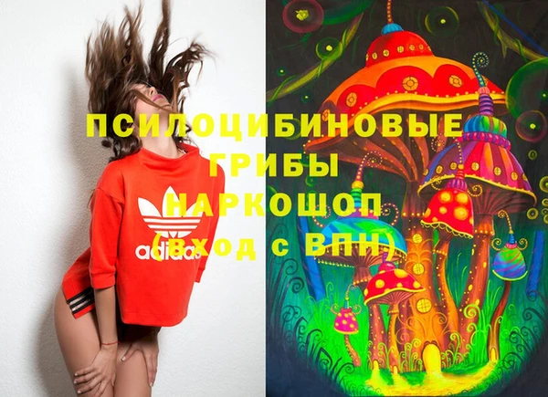 прущие грибы Армянск