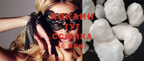 шишки Баксан