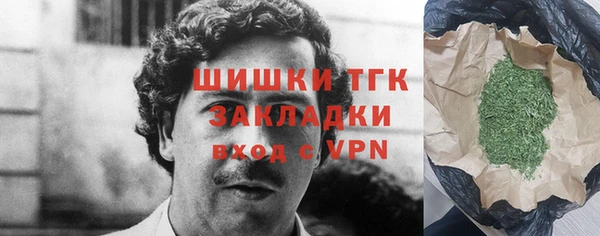 шишки Баксан
