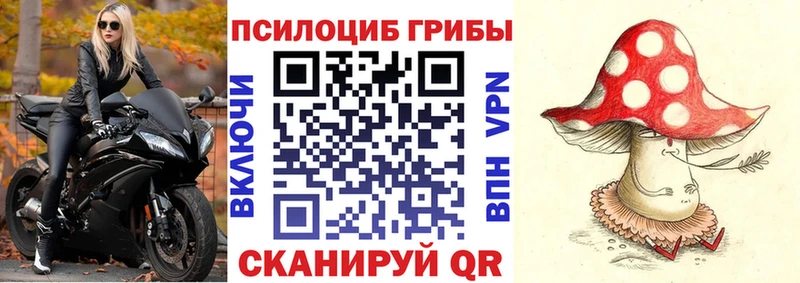 Купить закладки  Кемь  Галлюциногенные грибы GOLDEN TEACHER 